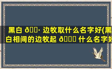黑白 🌷 边牧取什么名字好(黑白相间的边牧起 🐅 什么名字好)